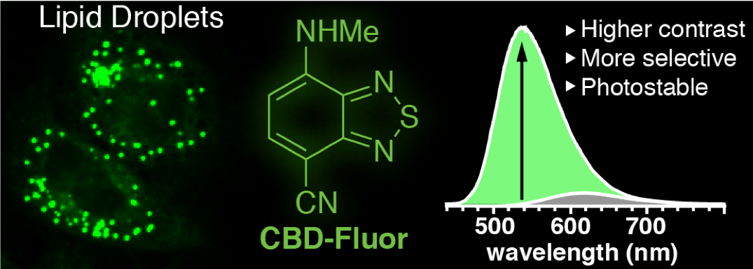 High selection. Lipid droplet. Lipid Nanoparticles. Lipid droplets structure. DSSC molecules.